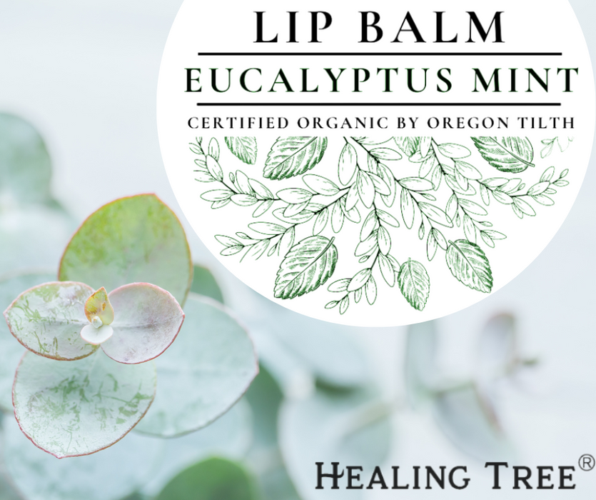 Organic Eucalyptus Mint Lip Balm