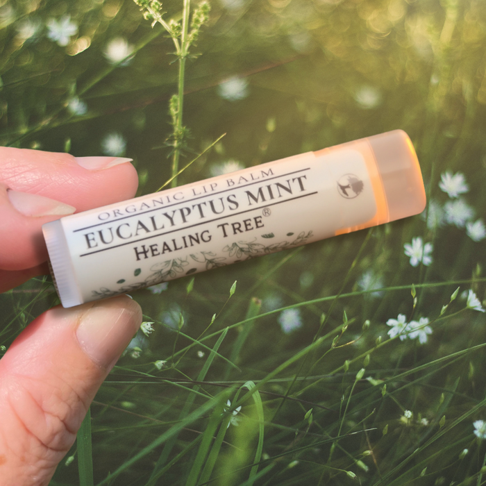 Organic Eucalyptus Mint Lip Balm